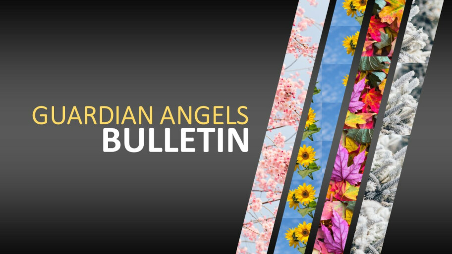 Guardian Angels Catholic Community