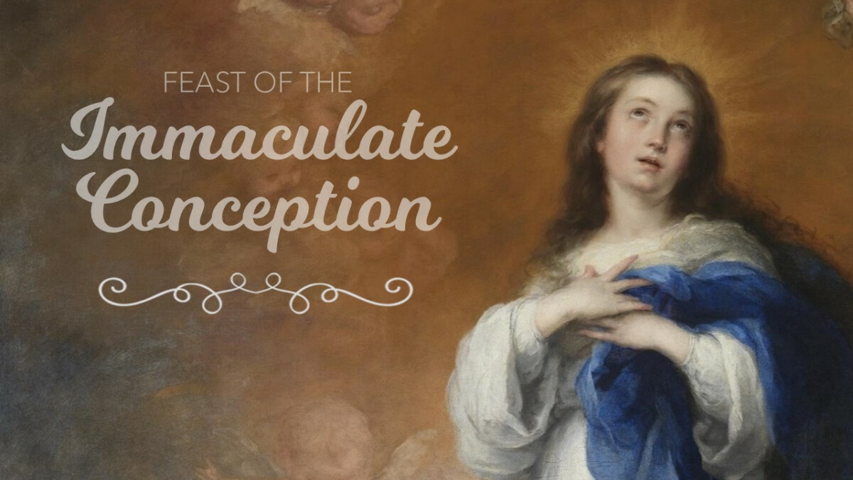 Immaculate Conception of Mary Masses